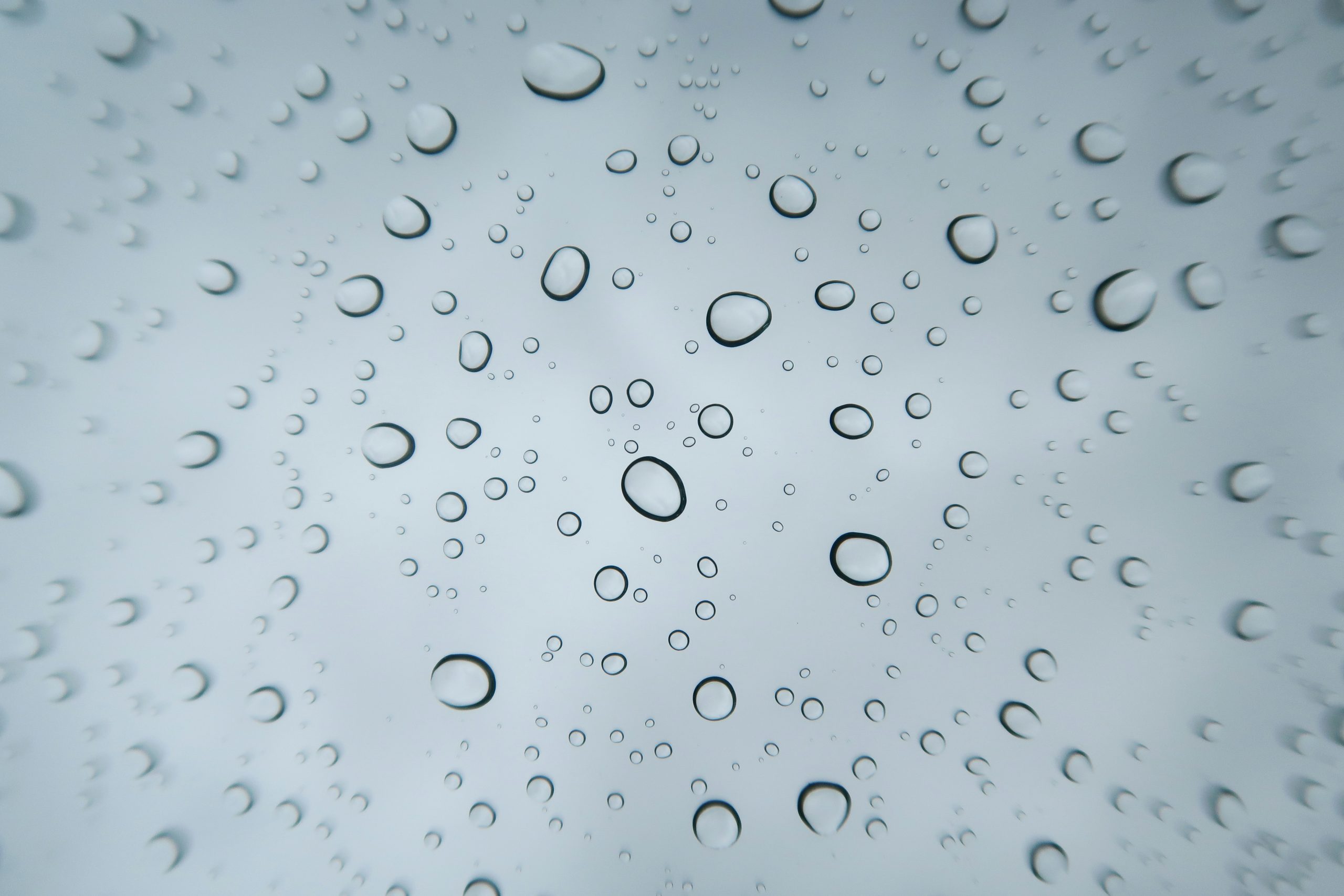 wesley-tingey-EZsmHzBVnNk-unsplash
